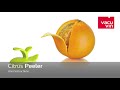 《VACU VIN》Peeler 水果去皮器(柑橘) | 水果剝皮器 product youtube thumbnail