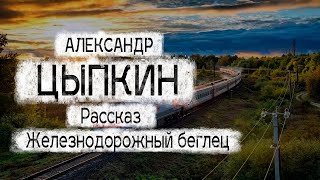 Александр Цыпкин рассказ 