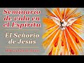 #5 El Señorío de Jesús | Seminario de Vida en el Espíritu