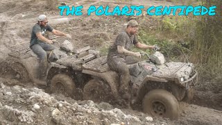 POLARIS SPORTSMAN 700 VS POLARIS SPORTSMAN 800