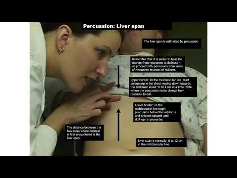 Video: Pijnpunt - Verklarende Medische Termen