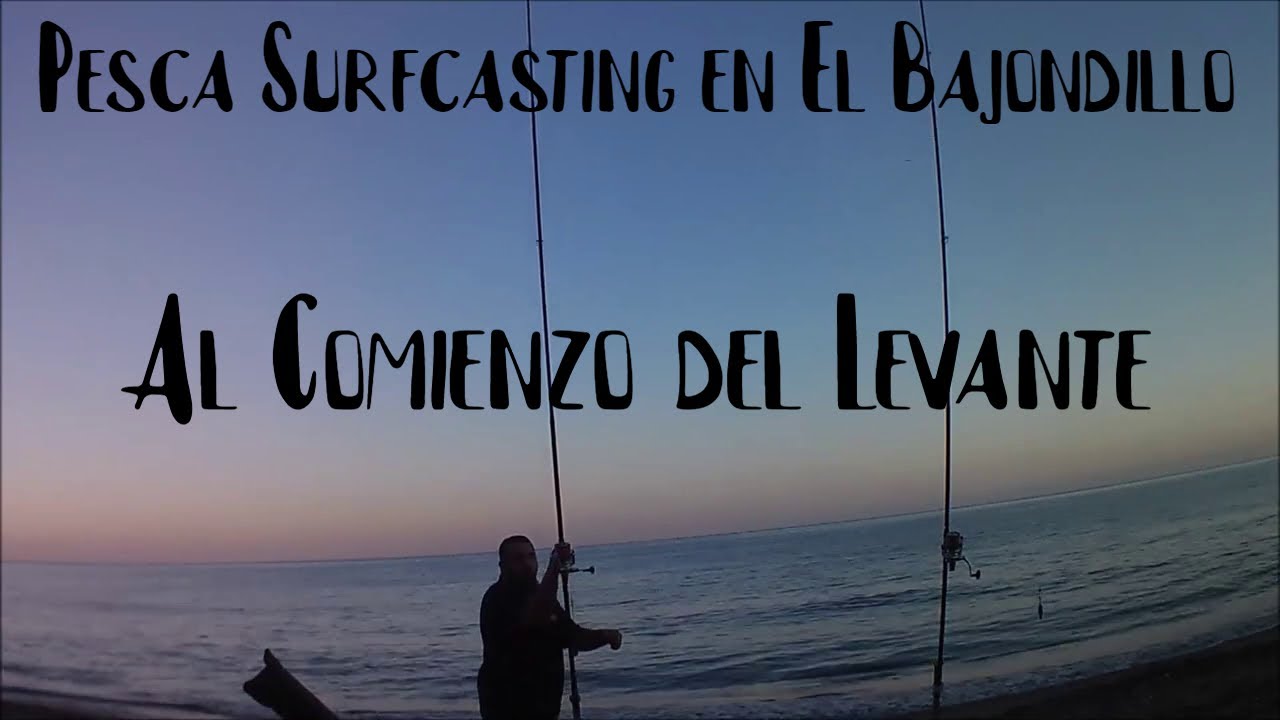 Capturas de Besugos al inicio del Levante : Pesca Surfcasting en