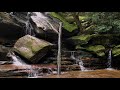 Waterfall Sounds in the Forest | Flowing Water Sounds for Relaxing & Sleeping (Natural White Noise)