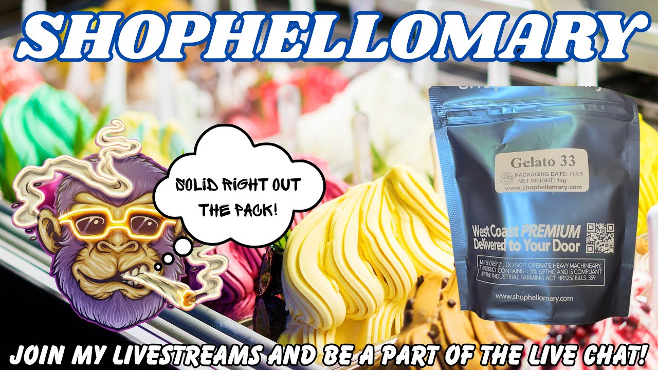 GELATO 33 THCA FLOWER REVIEW FROM SHOPHELLOMARY!