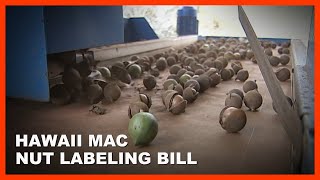 Hawai'i Macadamia Nut 'Country of Origin' Labeling Bill (Mar. 22, 2024) by Big Island Video News 4,720 views 1 month ago 6 minutes, 11 seconds