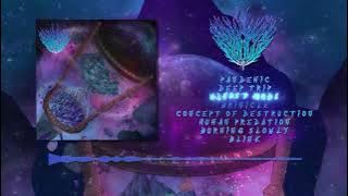 Brinicle - Perceptions of Reality [Full Album]