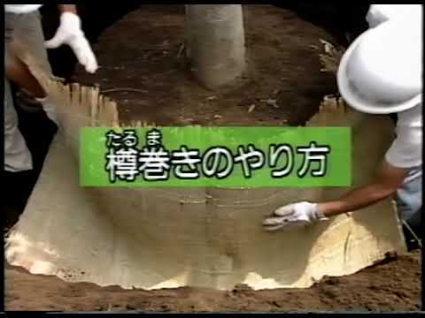 造園の技法 第1巻 - YouTube