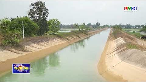 Hơn 7 triệu m3 nước từ Hồ Dầu Tiếng được xả tăng cường về sông Vàm Cỏ Đông I LONG AN TV