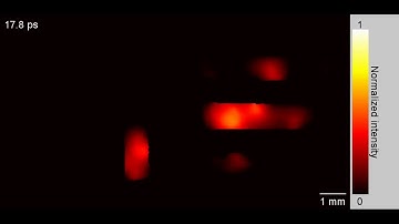 Single-shot real-time femtosecond imaging of temporal focusing