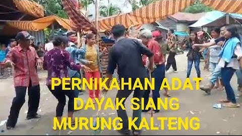 PERNIKAHAN ADAT DAYAK SIANG MURUNG DESA PELACI Dan KONUT