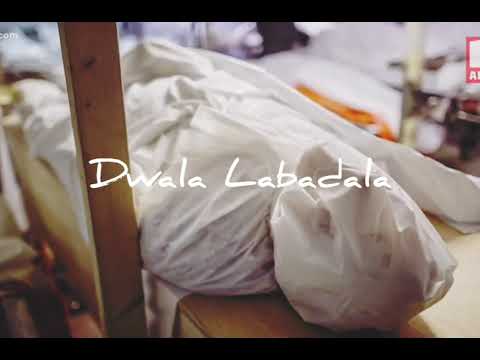 Kwazi Nsele _ Dwala labadala