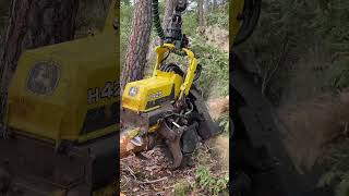 Harvester Johndeere 1270G #Love #Johndeere #Machine #Montains #Viral #Wood #Tree #Harvester #Bosque