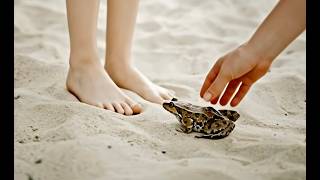 Ai Girls Trampling A Squid And Roach And Frog In Barefoot - Ai Movie