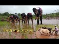 विद्याभारती गुरुकुल ,चिपळूण च्या विद्यार्थ्यांची पारंपारिक भातलावणी | School Farming Activity