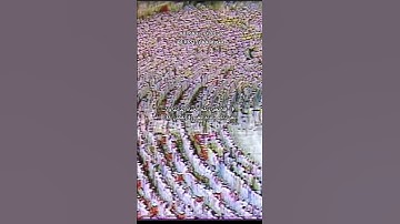علي جابر | سورة لقمان 1408 ﴿يا أيها الناس اتقوا ربكم واخشوا يوما لا يجزي والد عن ولده ...﴾#قران_كريم