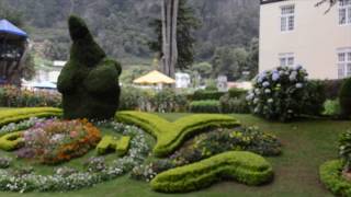 DownloadNUWARA ELIYA SUMMER MP3 MP4 NUWARA ELIYA SUMMER