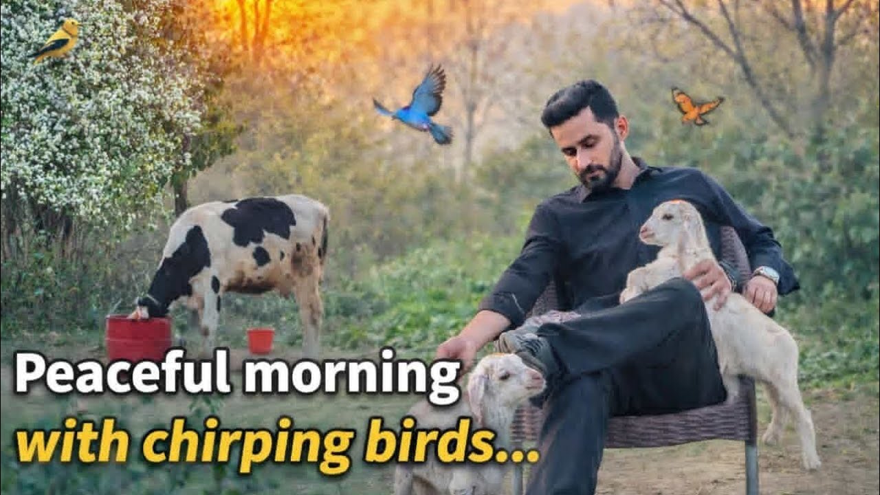 Janwarun ki Dekh Bhal 🐐 | imhamzaali 