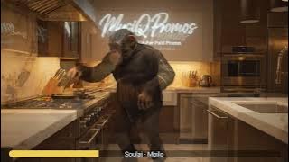 Soulai - Mpilo | Soulful Deep House | MusiQ Promos 