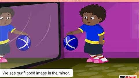 Symmetry | Rotational Symmetry | Class 6