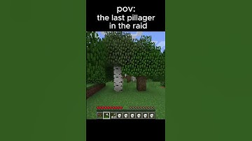 pov: the last pillager in the raid #funny #funnyvideo #hashtag #shorts #foryoupage #foryou