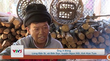 [TIẾNG GIÉ TRIÊNG] ĐỒNG BÀO GIẺ TRIÊNG GIỮ GÌN BẢN SẮC VĂN HÓA DÂN TỘC | VTV5