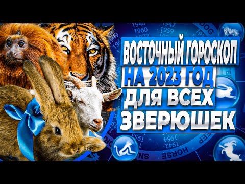Восточный Гороскоп 2023 год Кролика.@Secret_Astrology