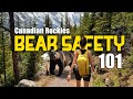 Surviving bear encounters expert tips from a 22year canadian rockies wildlifegrapher