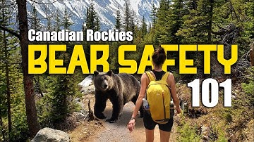 Surviving Bear Encounters: Expert Tips from a 22-Year Canadian Rockies Wildlife Videographer