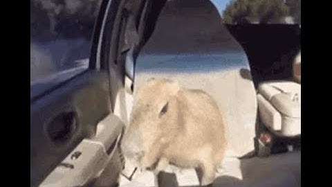 Elysian Aegis 100% (Insane Demon) by zYuko