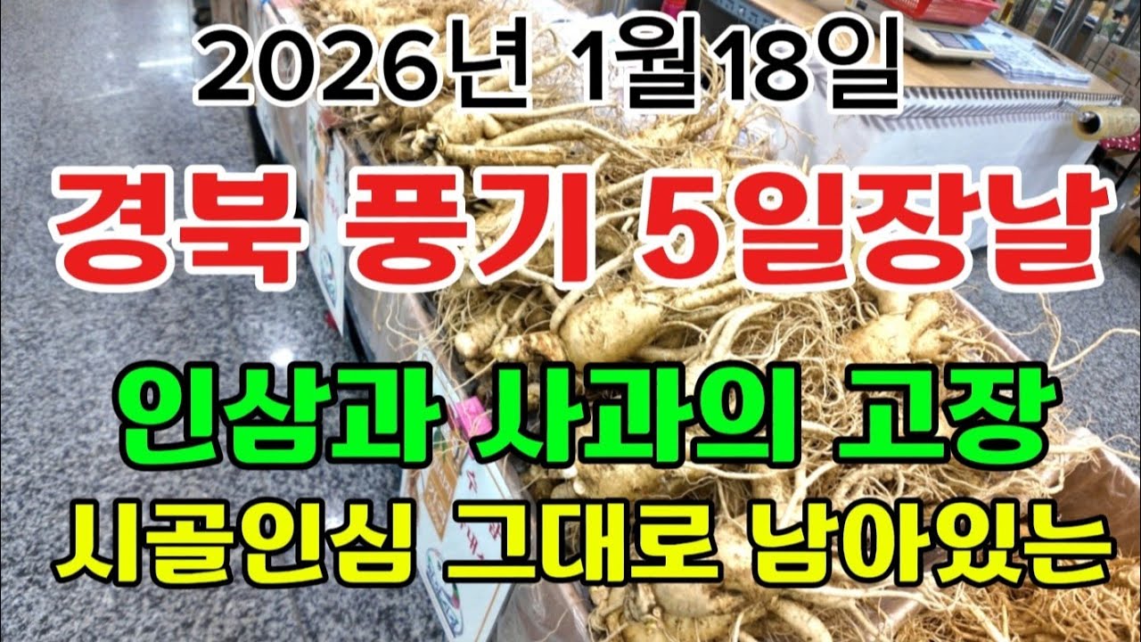 인삼과 사과의 고장 풍기 / 시골의 낭만이 아직은 남아 있는곳 풍기 5일장날 