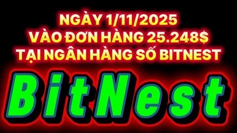 NGÀY 1/11/2025 VÀO ĐƠN HÀNG 25.248$ TẠI NGÂN HÀNG SỐ BITNEST