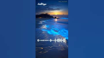 سورة النساء #قرآن #قران_كريم #quran #viral #صلى_الله_عليه_وسلم  #سوره_النساء