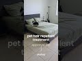 100% corgi approved