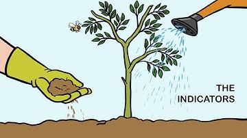 Transforming Education: Our Mission in STEM and CTE