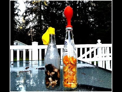 How To Inflate Balloons With Composting Bottles Banana Orange How To Inflate Balloons With Composting Bottles Banana Orange Ls