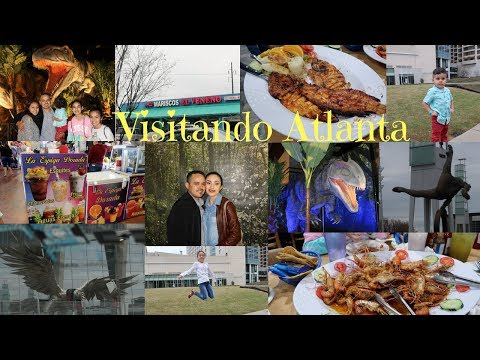 Video: Los mejores mariscos de Atlanta