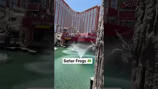 Señor Frog’s 🐸 #lasvegas
