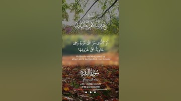 ما تيسر من سورة البقرة - الشيخ عبد السلام العابيدي
