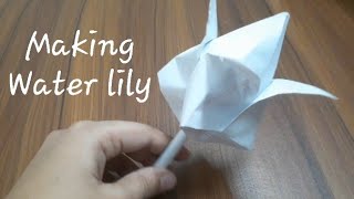 How to make Water lily flower with paper
