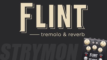 Strymon - Flint Tremolo & Reverb V1 - In-depth Demo