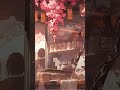 Cherry Blossom Café LoFi 🌸 #lofi