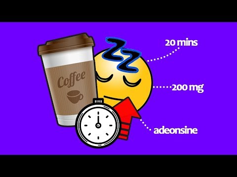 コーヒー昼寝科学：それがどのように機能するか