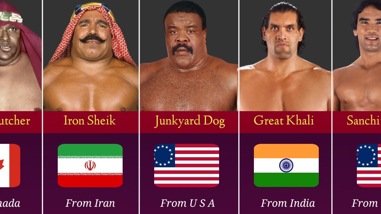 WWE wrestlers Nationality | Wwe Wrestlers From Different Country! (2)