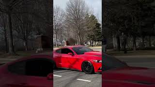 Nasty Group Of Mustangs Leaving Cars and Coffee #automobile #cars #fypシ #fyp