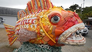 FBNC - Mỹ: Triển lãm nghệ thuật từ rác thải kêu gọi bảo vệ môi trường biển