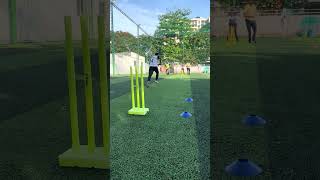 OUT OR NOT OUT?! The Umpire Gave It!  #cricket #turf #shortvideos #viralvideo #cricketlover