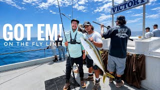 We Went Looking for Yellowtail… Then THIS Happened! Long Beach Sport Fishing
