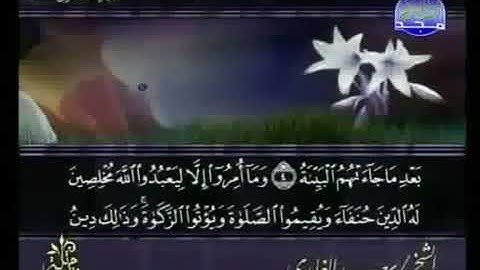 سورة البينة 98 - 114 سعد الغامدي - قراءة مرتلة