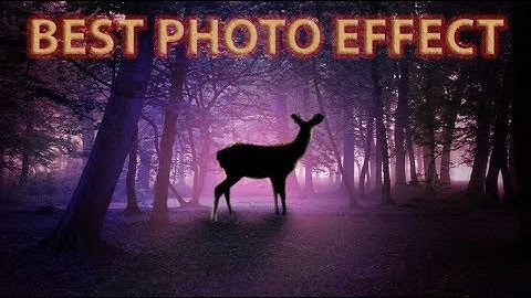 DEER JUNGLE PHOTO MANIPULATION PHOTOSHOP CC JUST 2 PICTURE