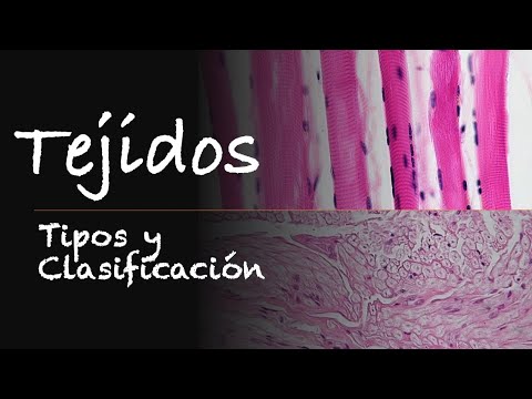 Video: ¿Qué es un tejido natural?